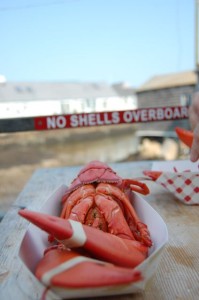 Rockport Lobster